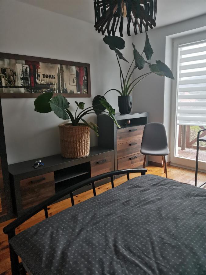 Apartament Forest มิสลาโกวิเซ ภายนอก รูปภาพ
