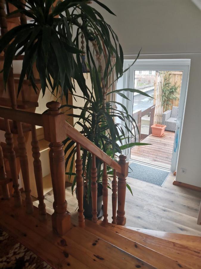 Apartament Forest มิสลาโกวิเซ ภายนอก รูปภาพ