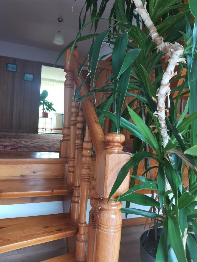 Apartament Forest มิสลาโกวิเซ ภายนอก รูปภาพ